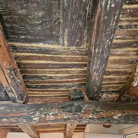 La Suite Del Ponte Paradosso Viterbo